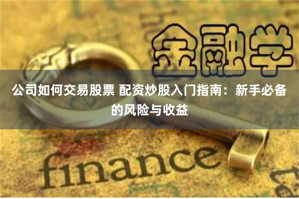 公司如何交易股票 配资炒股入门指南：新手必备的风险与收益