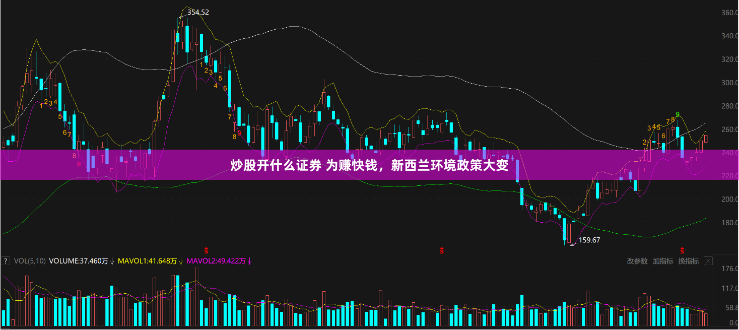 炒股开什么证券 为赚快钱，新西兰环境政策大变