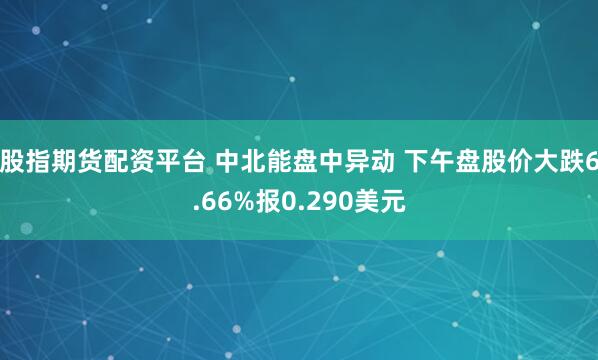 股指期货配资平台 中北能盘中异动 下午盘股价大跌6.66%报0.290美元