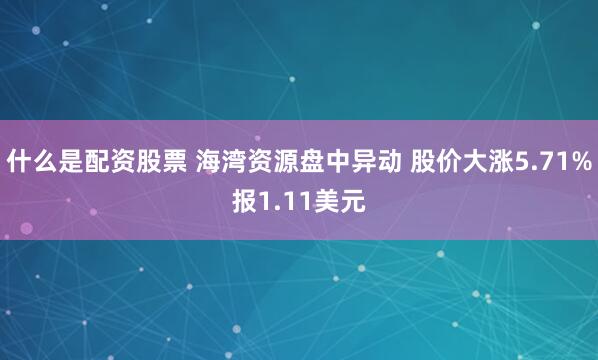 什么是配资股票 海湾资源盘中异动 股价大涨5.71%报1.11美元