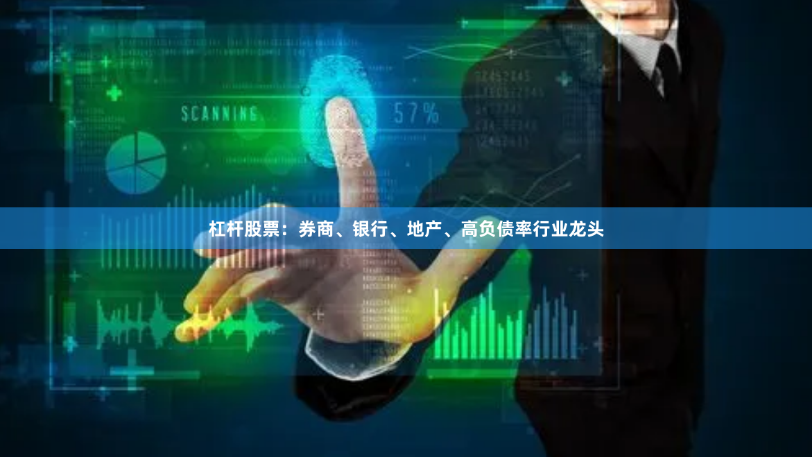 杠杆股票：券商、银行、地产、高负债率行业龙头